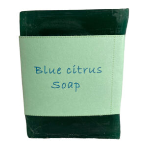 SoapScense Blue Citrus Soap w/out insert